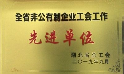 先进单位